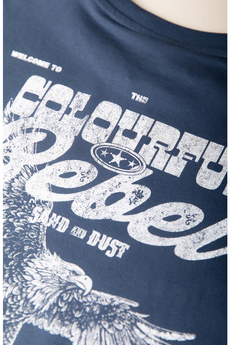 Sand and Dust Tour Loosefit Tee, Alternate, color, Denim blue