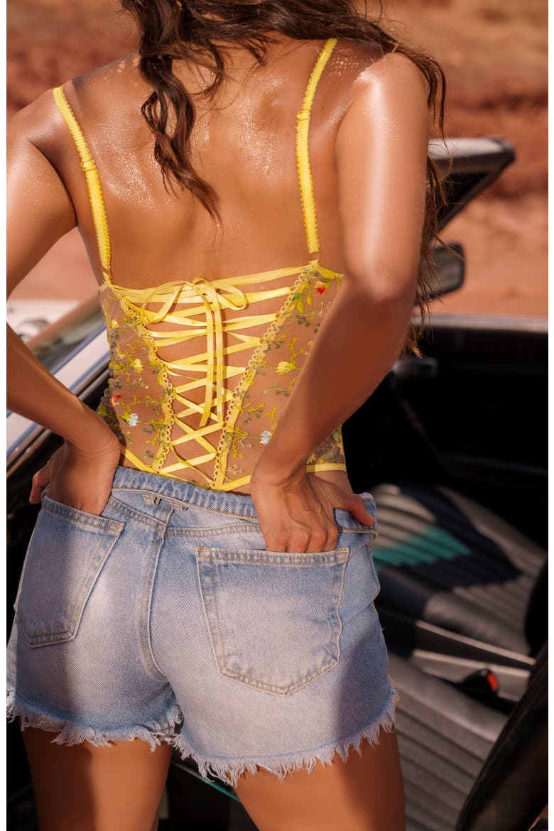 Lace-Up Embrodiered Mesh Underwire Teddy, Alternate, color, SUNLIT BLISS