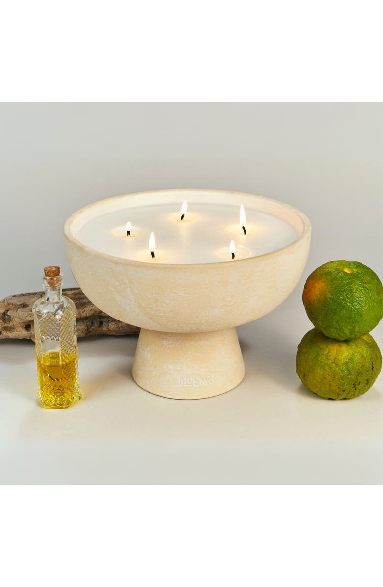 Blueme Nostalgia Giant Ceramic Candle, Alternate, color,