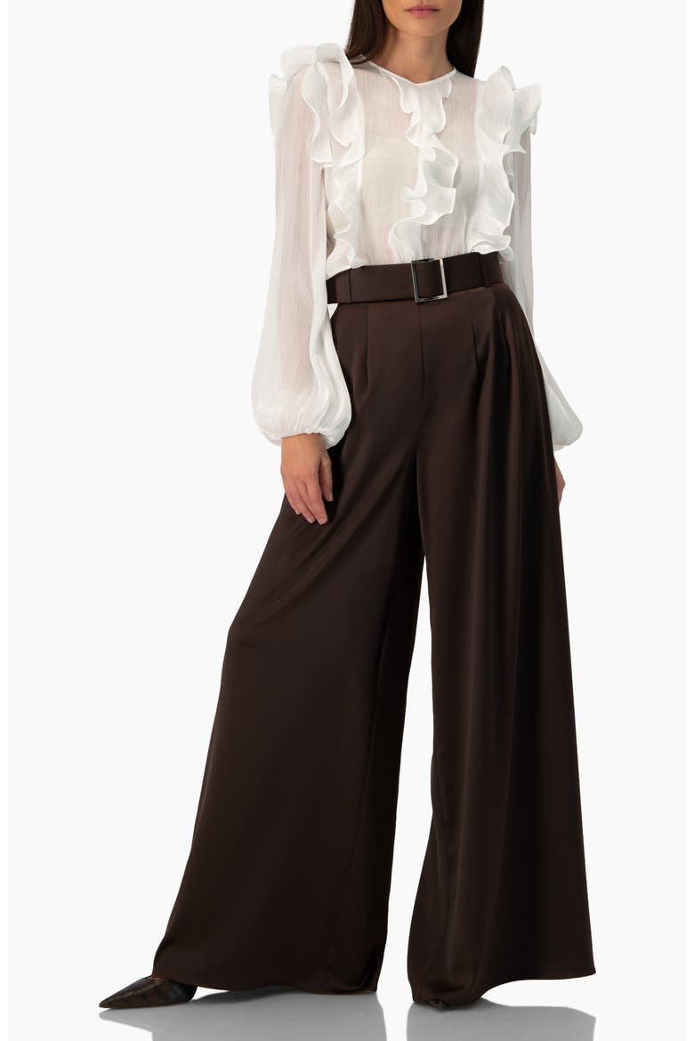 Long Sleeve Sheer Blouse with Ruffle Detail, Alternate, color, Ivory