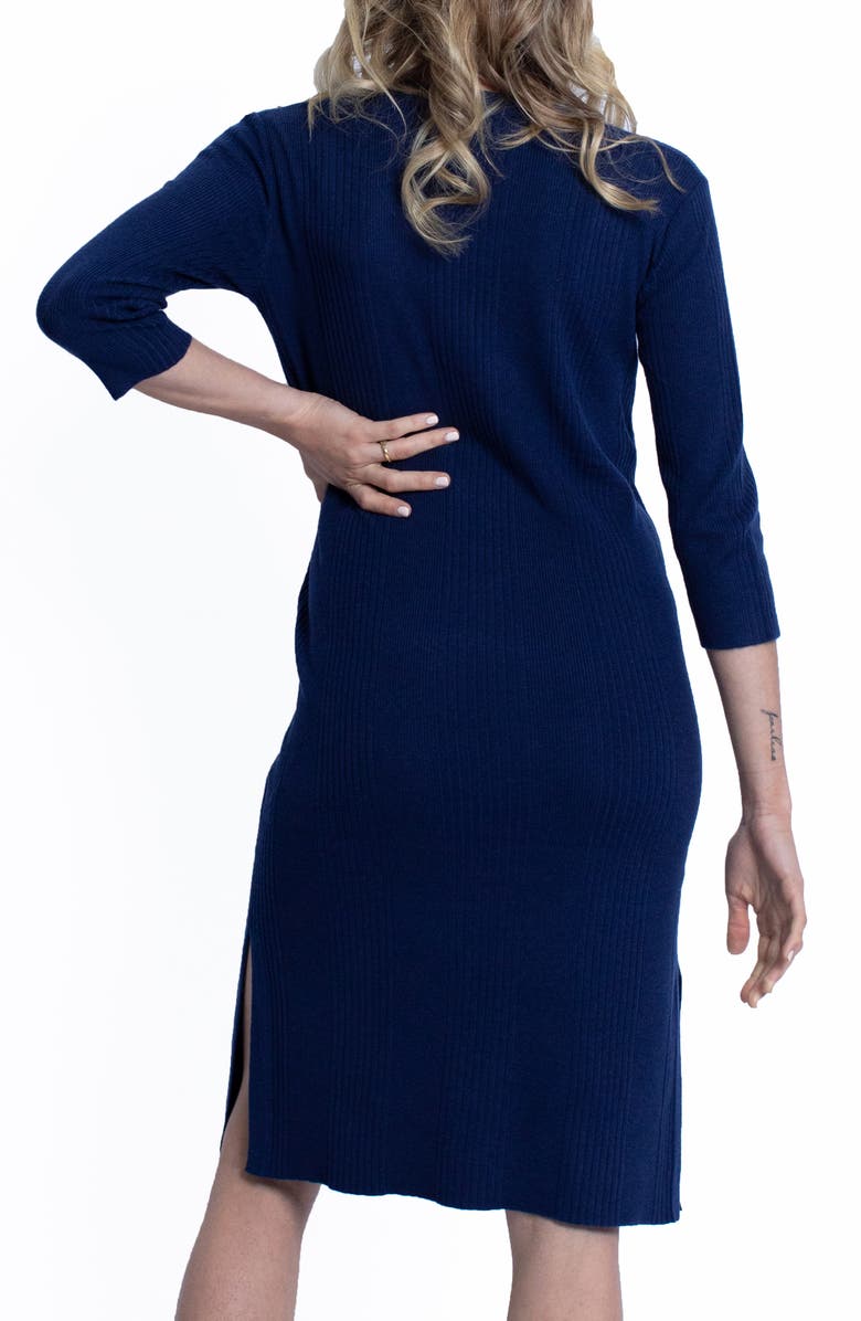 Angel Maternity Button Front Maternity/Nursing Sweater Dress, Alternate, color,