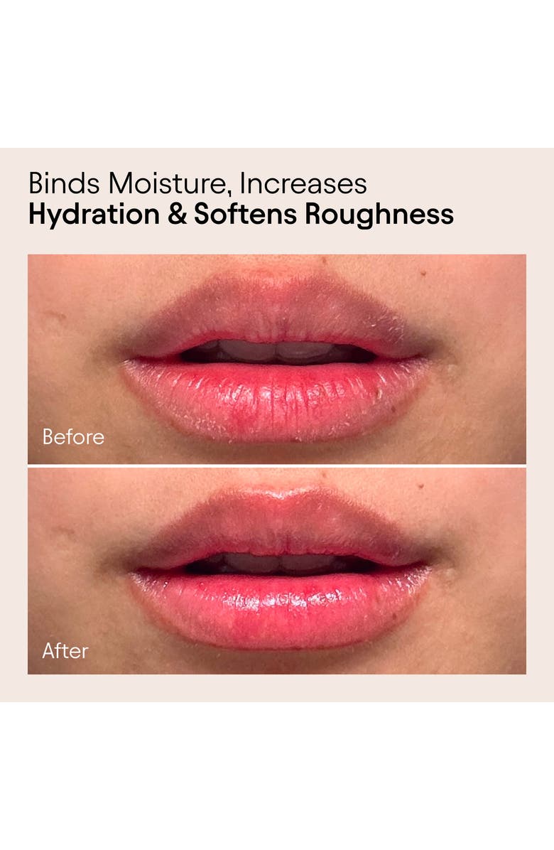 Alpyn Willow & Sweet Agave Plumping Lip Mask, Alternate, color, 