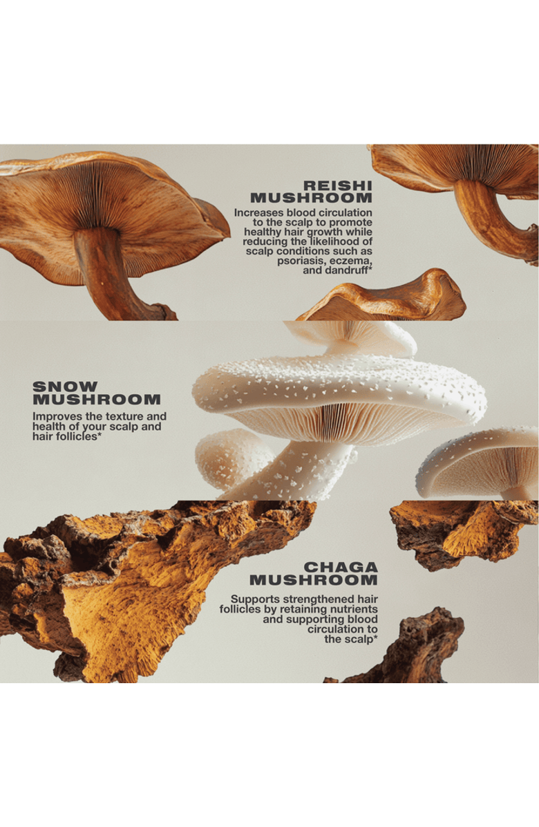 Imarais Beauty Nourish, Alternate, color, Beige