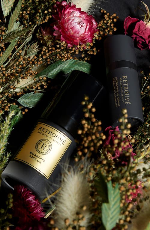Retrouve Retrouvé Radiance Reverie Set $245 Value In Transparent