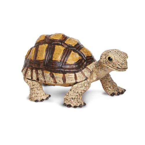 Safari Ltd. Kids'  Tortoise