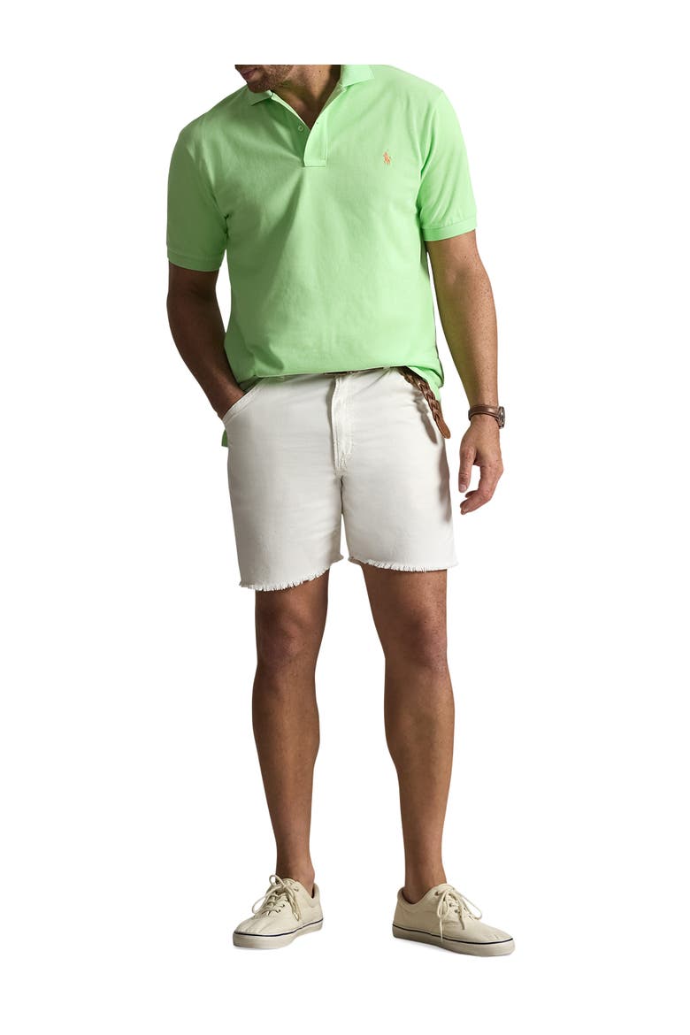 Big & Tall Mesh Polo Shirt, Alternate, color, FADED MINT