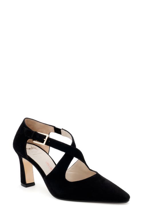 Amalfi by Rangoni Ippolito Pointed Toe Pump in Black Cashmere 