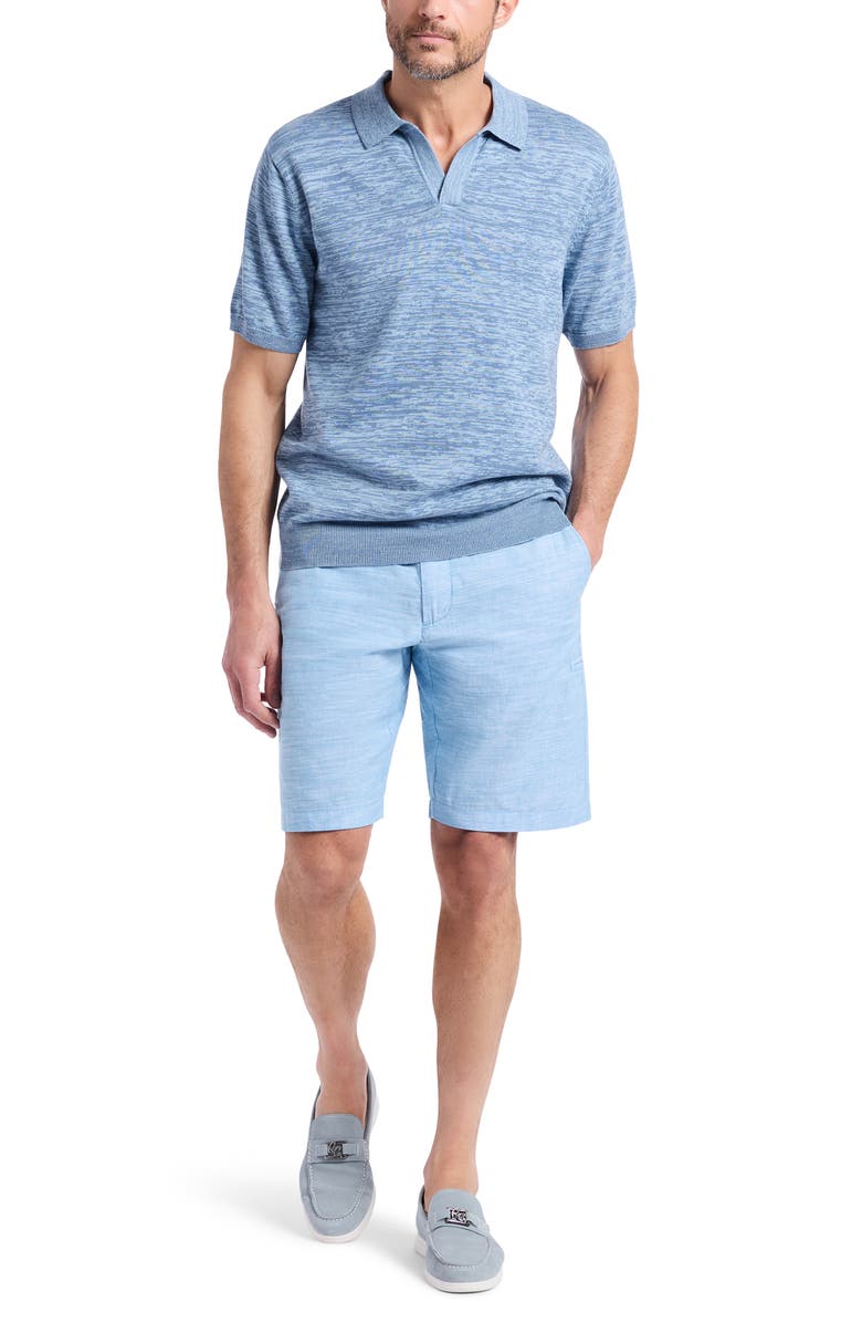 Robert Graham Raydon Johnny Collar Space Dye Sweater Polo, Alternate, color, Light Blue