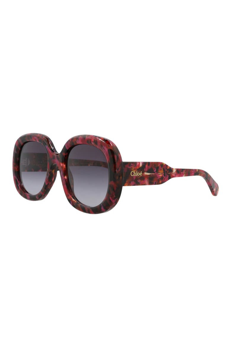 54mm Square Sunglasses, Alternate, color, HAVANA HAVANA GREY