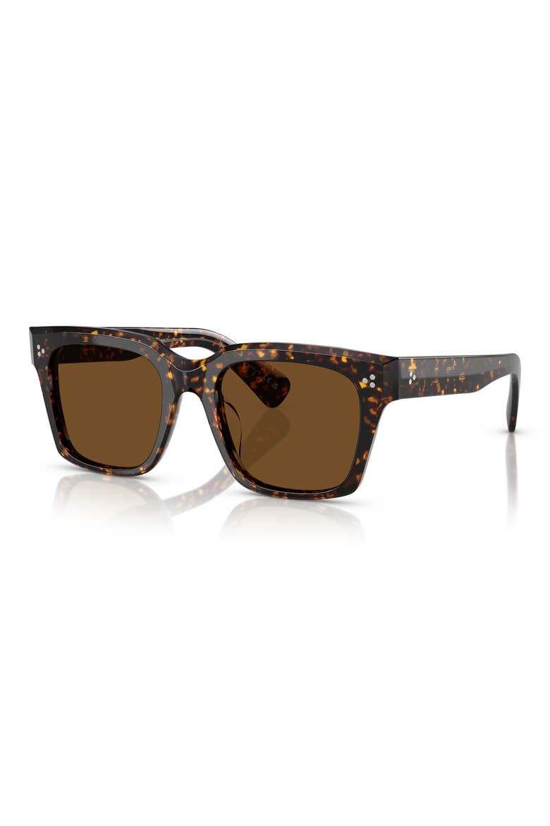 52mm Polarized Pillow Sunglasses, Alternate, color, TORTOISE