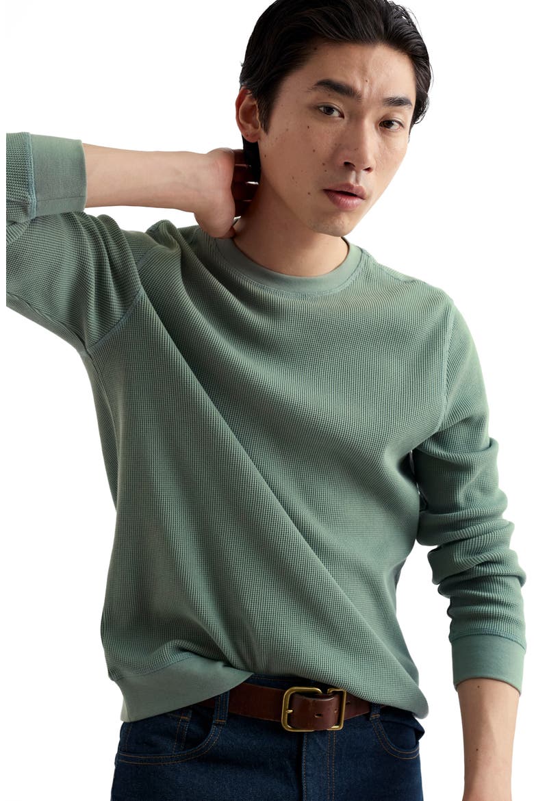 Jackline Waffle Knit Organic Cotton Top, Alternate, color, DUSKY GREEN