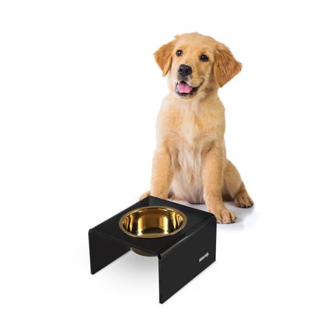 Keaton Modern Lucite Rectangular Elevated Pet Feeder with 2-Stainless Steel Bowls