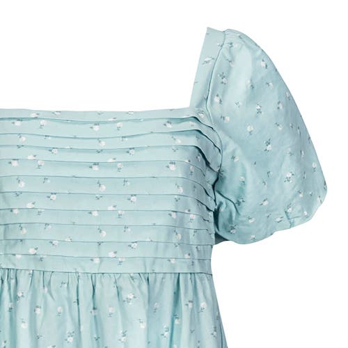 Hope & Henry Ruched Linen Dress In Tea Room Floral