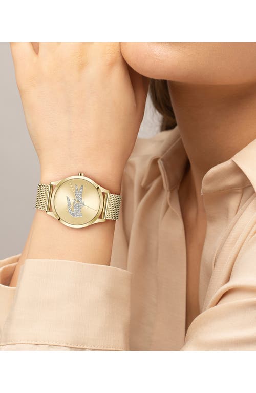 Lacoste Crocodelle Mesh Strap Watch, 36mm In Gold