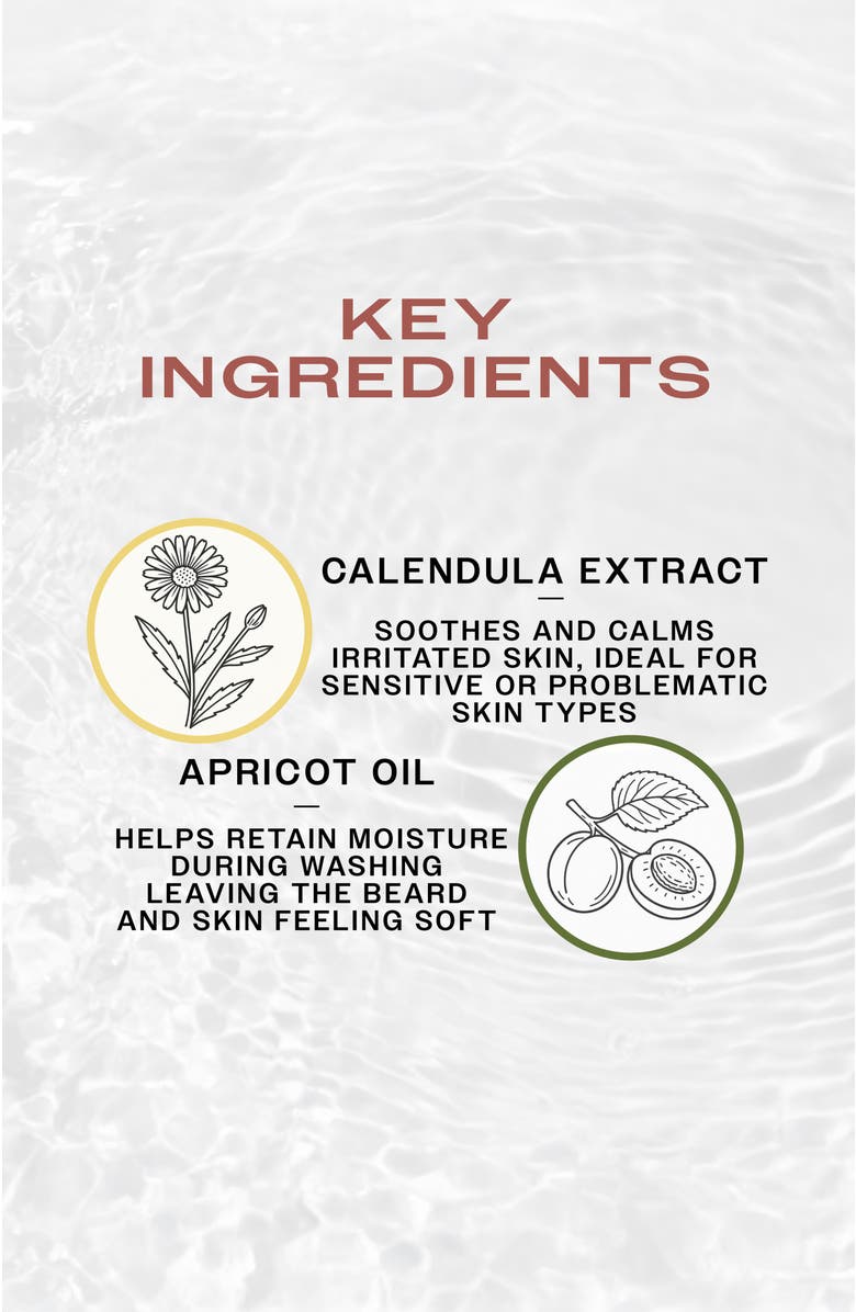 REUZEL REFRESH No Rinse Beard Wash, Alternate, color, NO COLOR