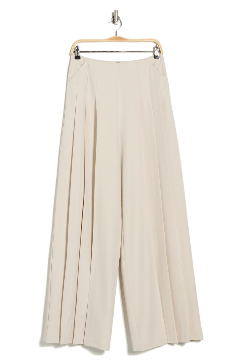 Plymouth Pleated Wide Leg Pants, Alternate, color, PUMICE STONE
