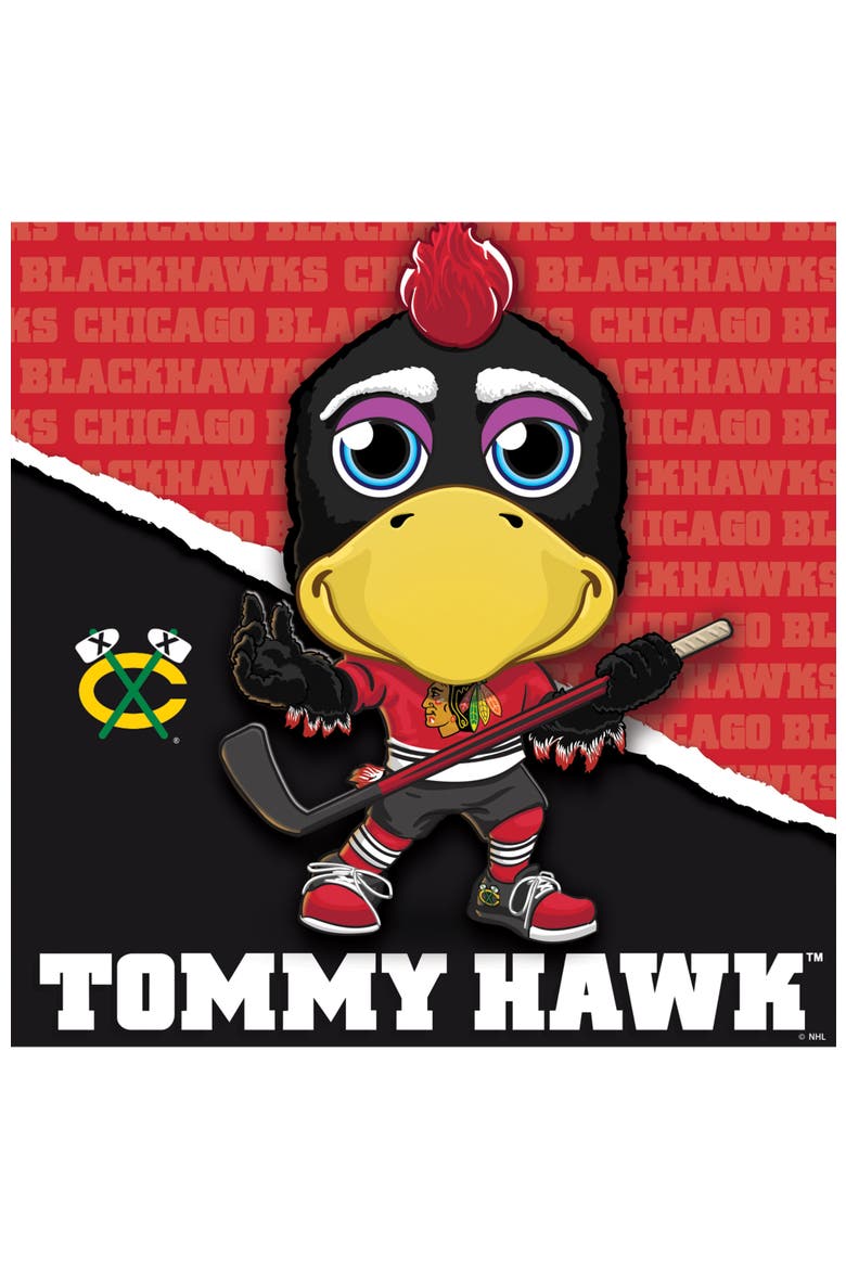 Chicago Blackhawks Mascot 100pc Puzzle, Alternate, color, Multicolor