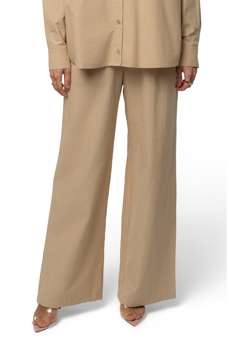 Leon Pleated Wide Leg Pants, Main, color, BEIGE