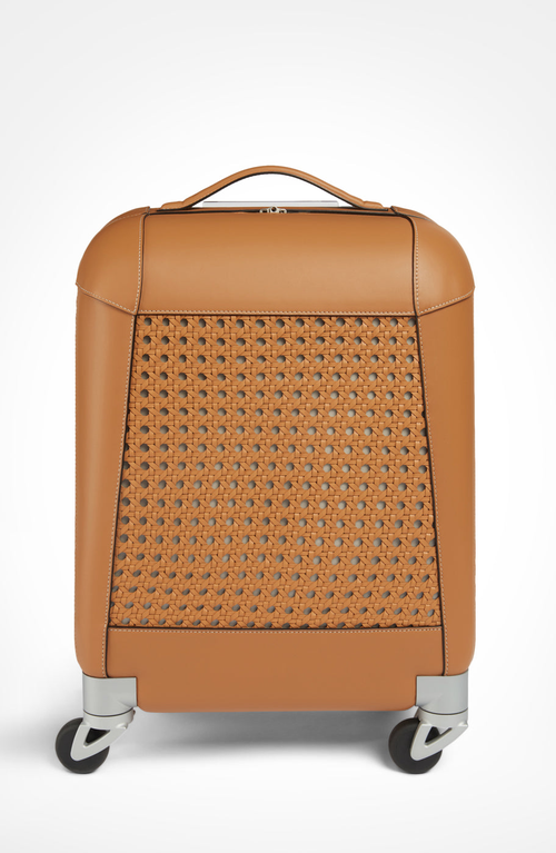 Aviteur Calfskin Lucite Handle Carry-on 19 Luggage In Brown