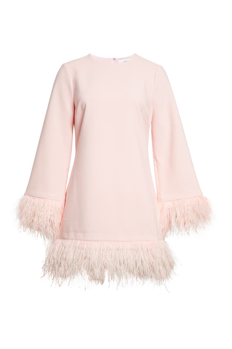 Marullo Feather Trim Long Sleeve Dress, Alternate, color, ROSE SHADOW