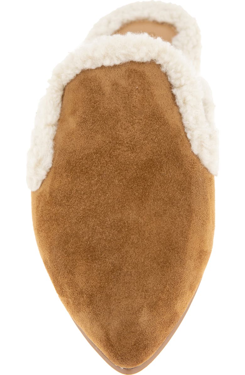 Splendid Liza Pointed Toe Mule, Alternate, color, Caramel Fur