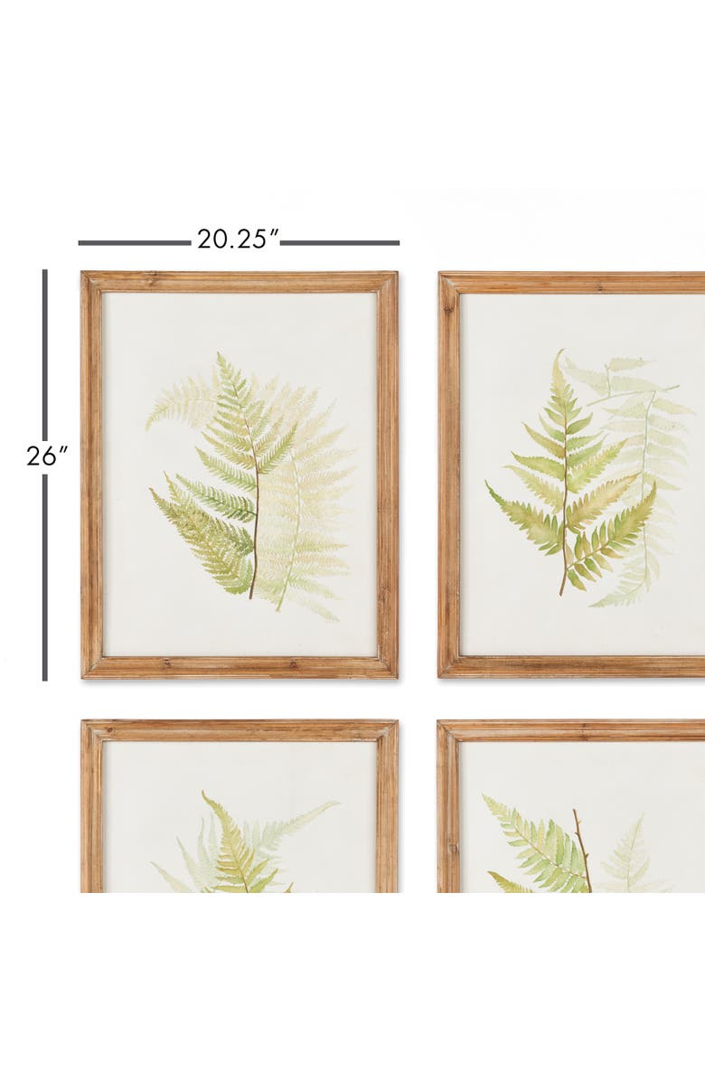 Napa Home & Garden Framed Fern Study Set of 6, Alternate, color,