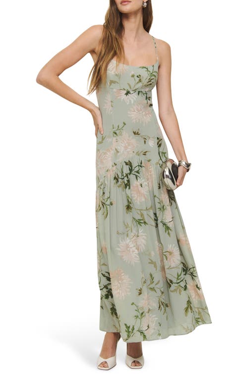 Reformation Catana Floral Georgette Maxi Dress In Pergola