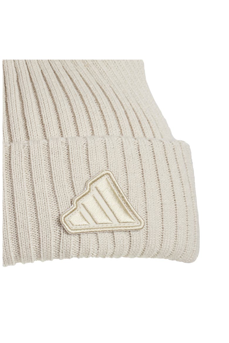 Altitude 2 Cuff Beanie, Alternate, color, WONDER ALUMINA GREY