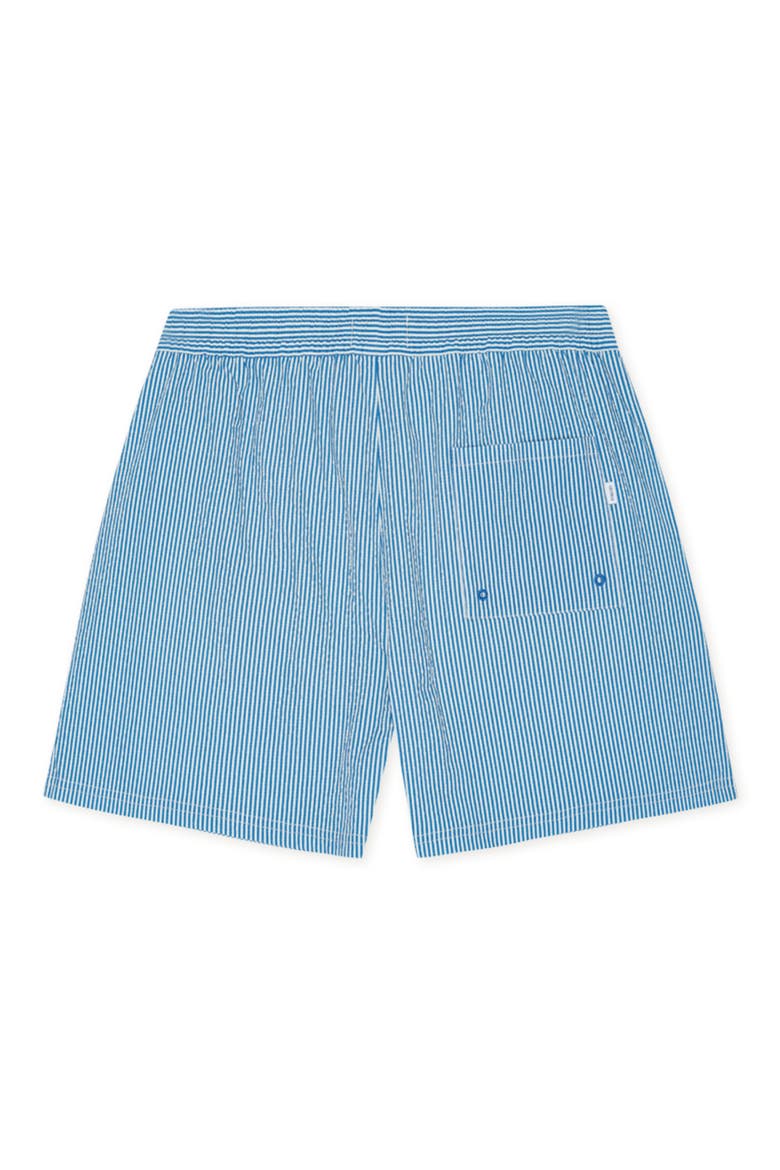 Stripe Seersucker Swim Shorts, Alternate, color, PALACE BLUE