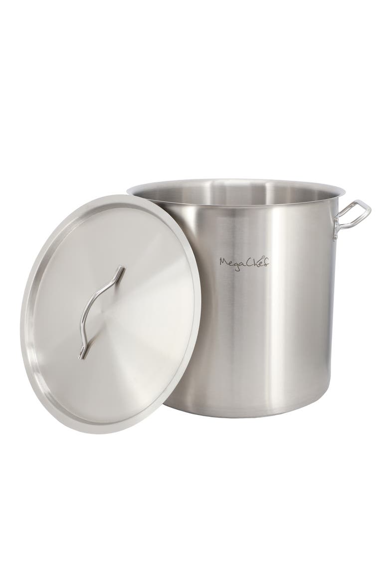 Professional Kitchen 38.5 Quart Round Stainless Steel Stock Pot with Lid, Alternate, color, Silver