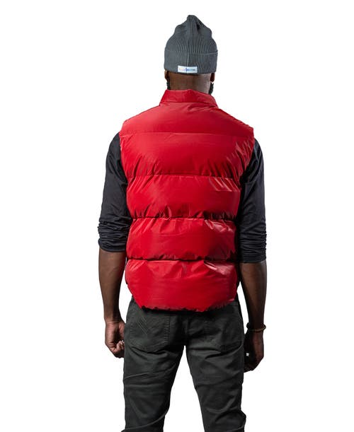 Woodpecker Unisex Vest In Red