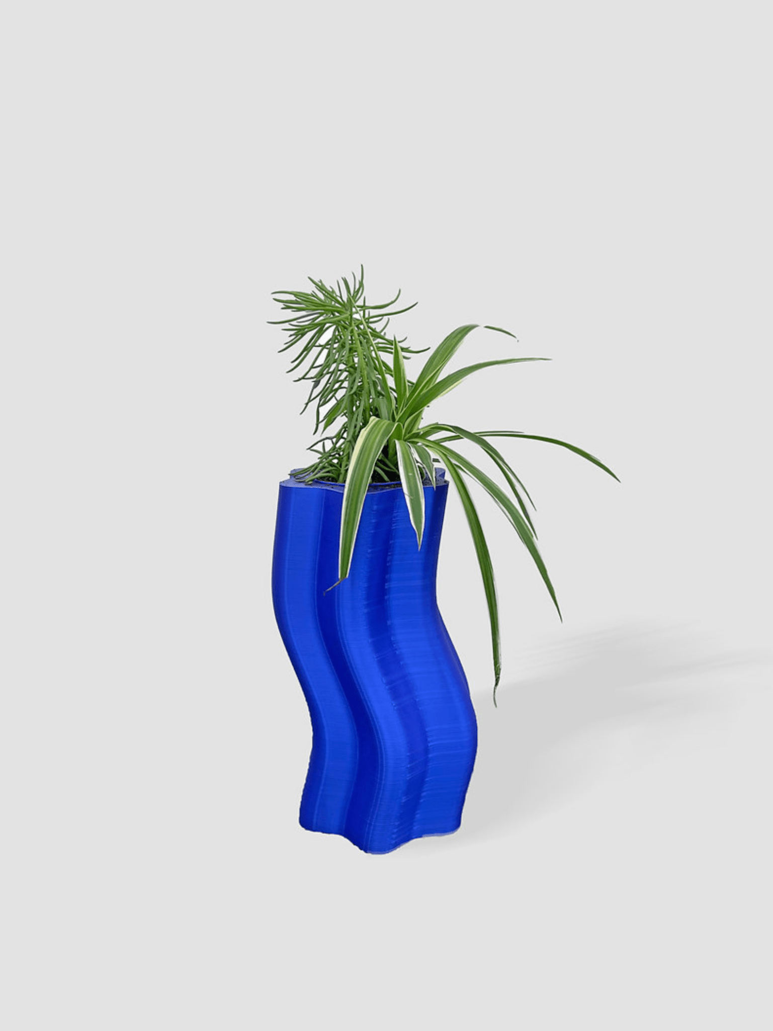 selected Blue
