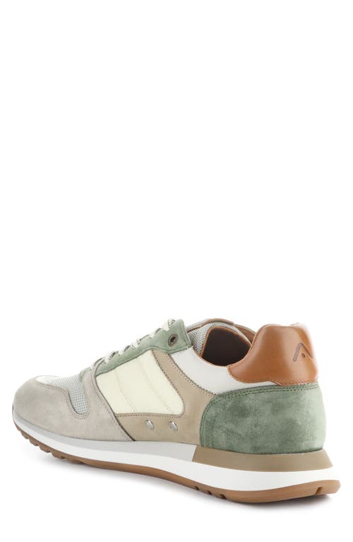 AMBITIOUS AMBITIOUS 12554A LOW TOP SNEAKER