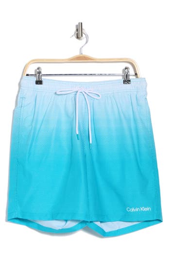 Calvin Klein Graphite Stripe Core Volley Swim Trunks In Atlantis