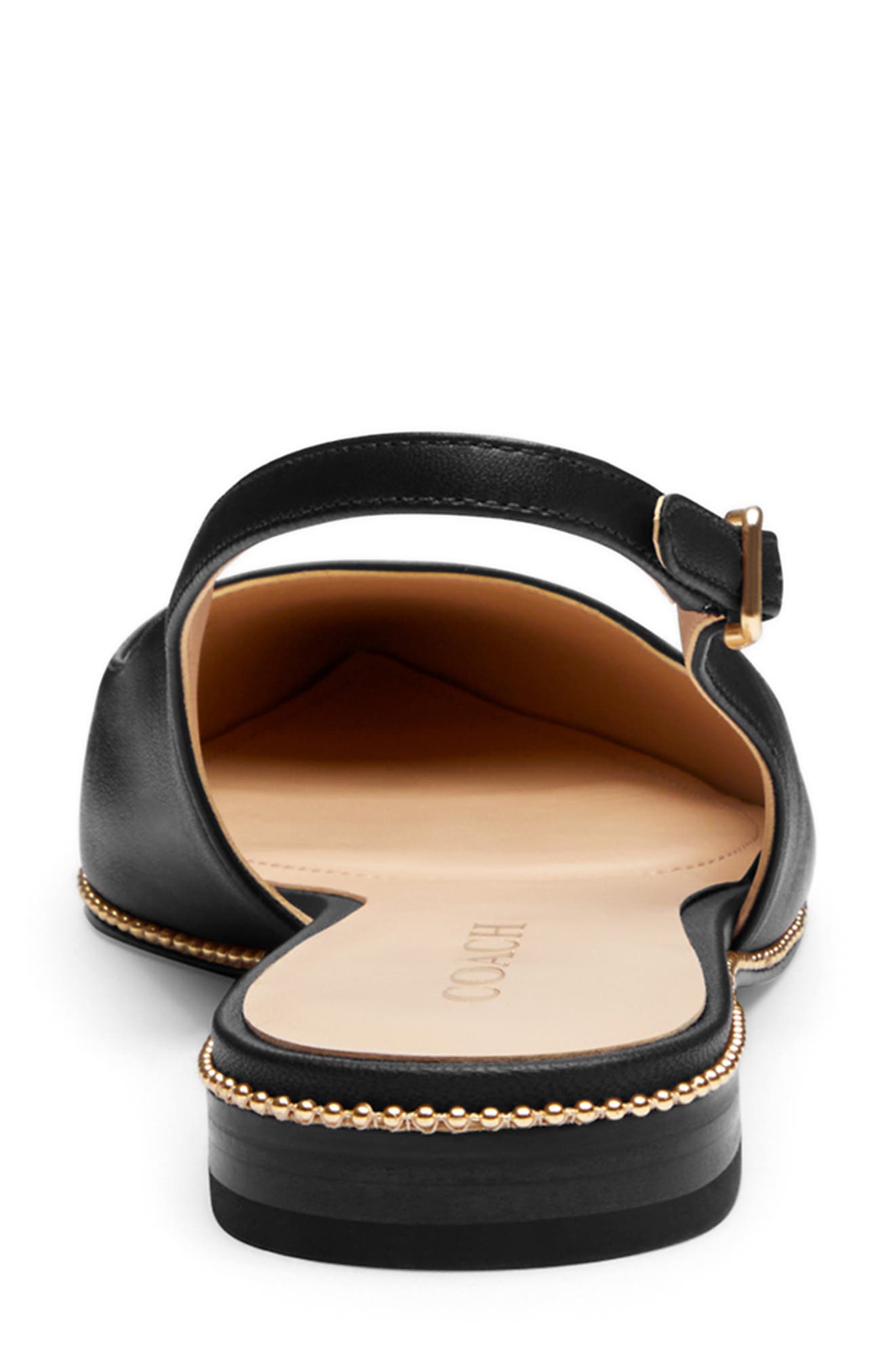 COACH Claire Slingback Pointed Toe Skimmer Flat, Alternate, color, Black