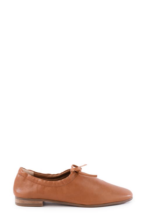 Seychelles Curtsy Flat