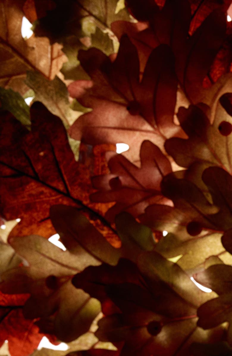 Jo Malone London<sup>™</sup> English Oak & Redcurrant Scented Home Candle, Alternate, color,