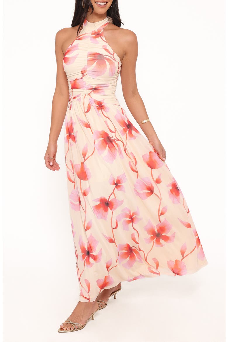 Kaira Halter Neck Maxi Dress, Alternate, color, PINK FLORAL