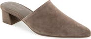 Splendid Lorelei Mule