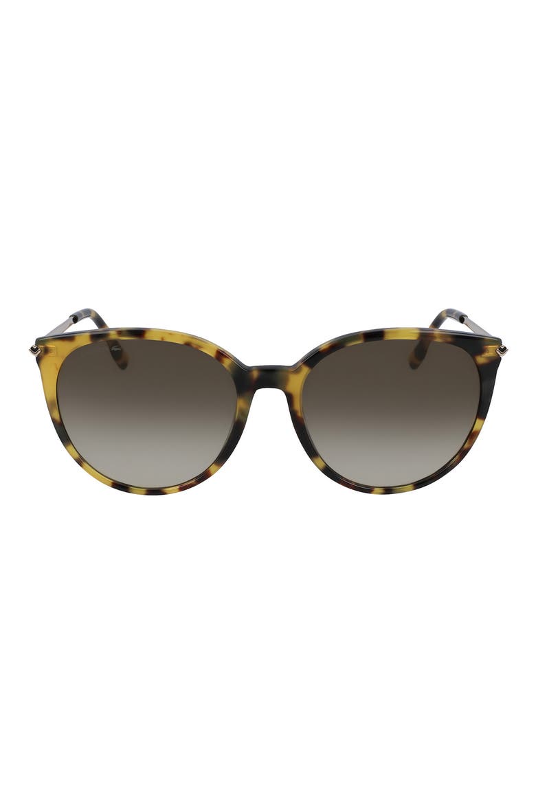 56mm Round Sunglasses, Main, color, HAVANA