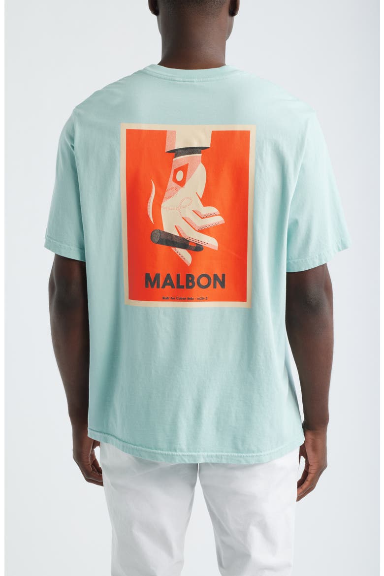 Bermuda Cigar Cotton Graphic T-Shirt, Alternate, color, SURF SPRAY
