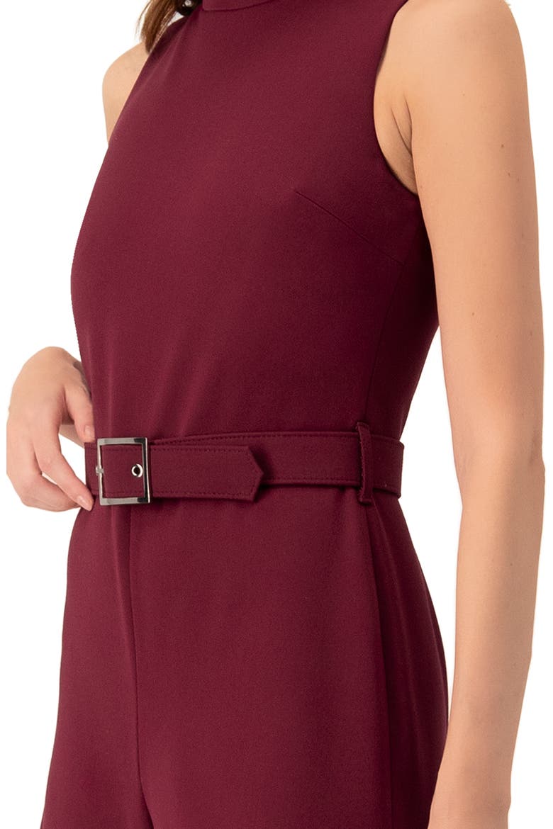 Sleeveless High Neck Jumpsuit with Belt, Alternate, color, Wine