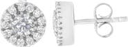 Haus of Brilliance 14k White Gold 1 cttw Diamond Halo Stud Earrings