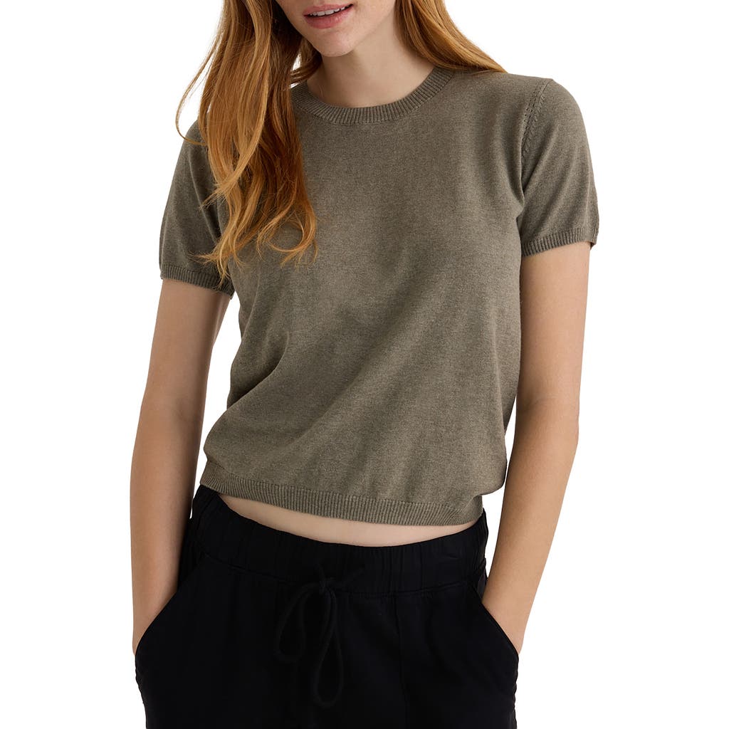 Bella Dahl Short Sleeve Crewneck Sweater In Green