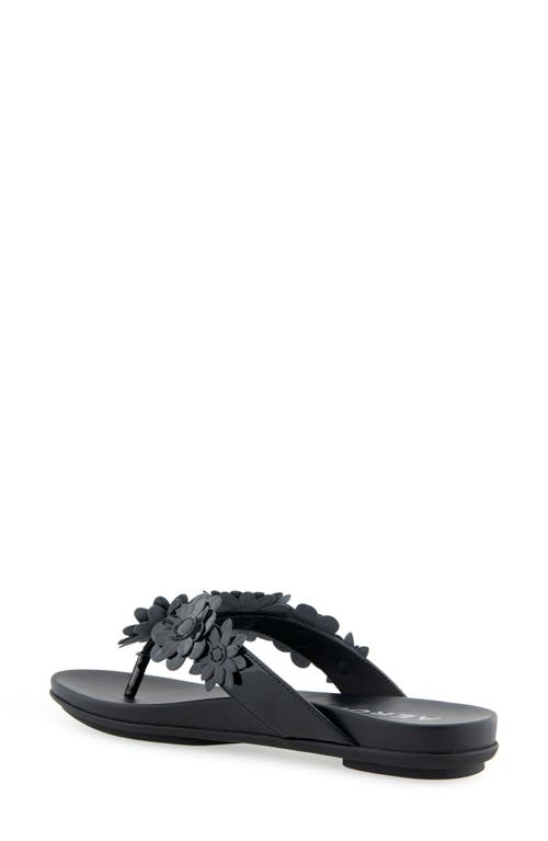 AEROSOLES AEROSOLES FARRAH FLOWER SANDAL
