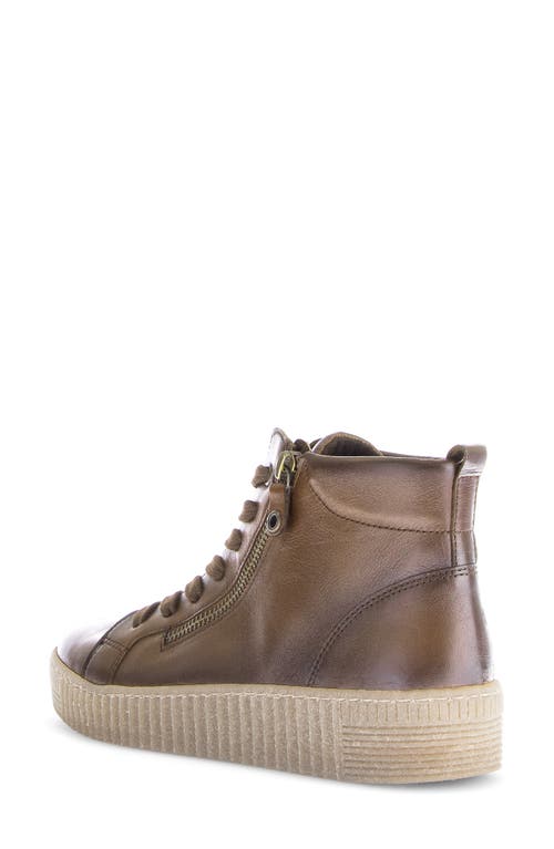 Gabor High Top Sneaker In Brown