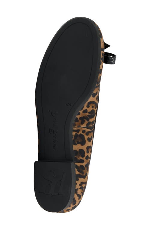 Paul Green Chrissy Grommet Ballet Flat