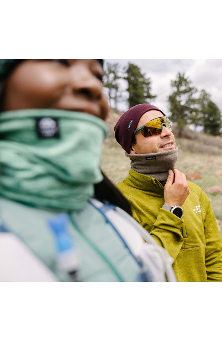 Turtle Fur Luxe Tube Neck Gaiter, Alternate, color, Plum