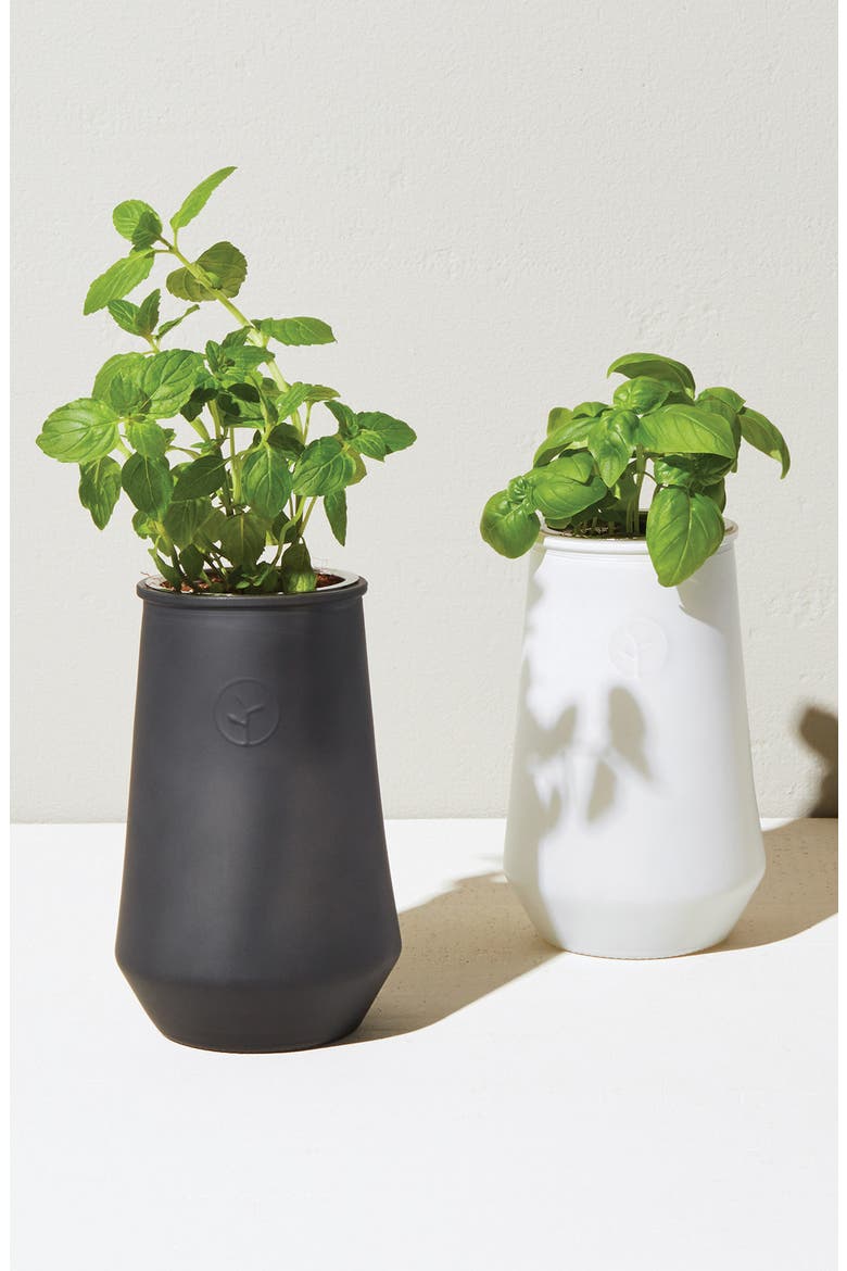 Tapered Tumbler, Alternate, color, MINT