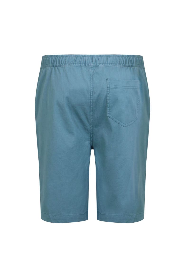 Aldan Chino Shorts, Alternate, color, Coronet Blue